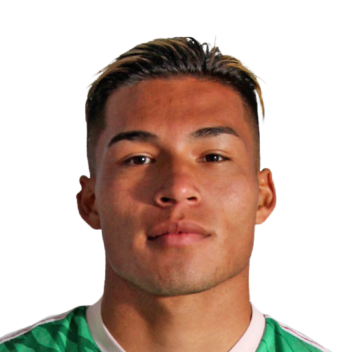 FC 25 Sebastian Meza Face