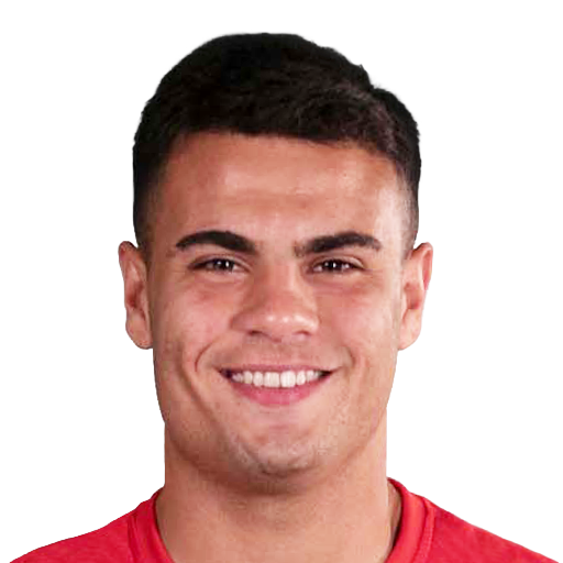 FC 25 Tomas Pozzo Face