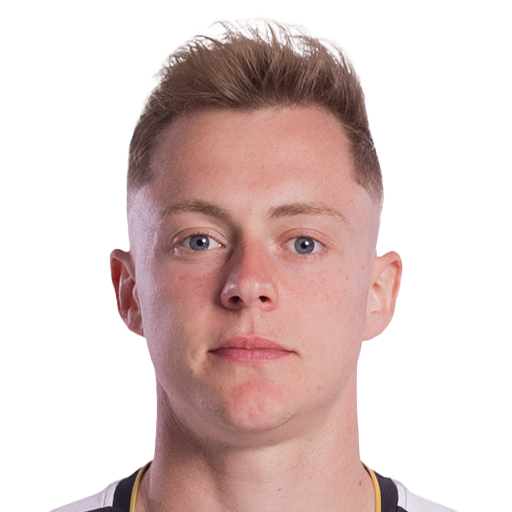 FC 25 Zan Rogelj Face