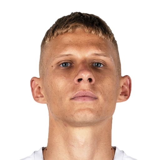 FC 25 Wojtuszek Face