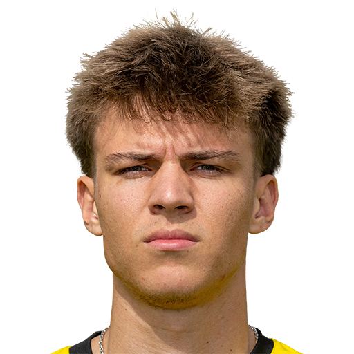 FC 25 Julian Hettwer Face