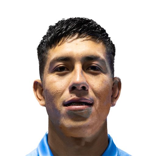 FC 25 Face