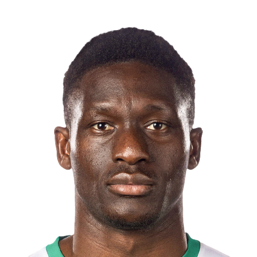 FC 25 Face