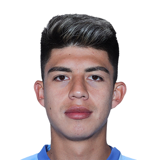 FC 25 Face
