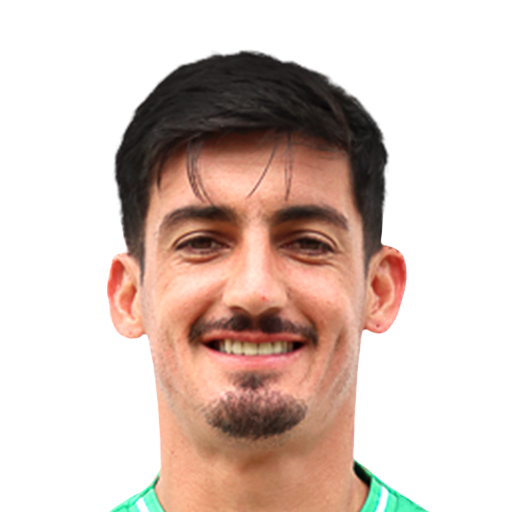 FC 25 Face