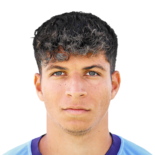 FC 25 Face