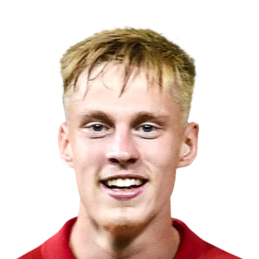 FC 25 Face