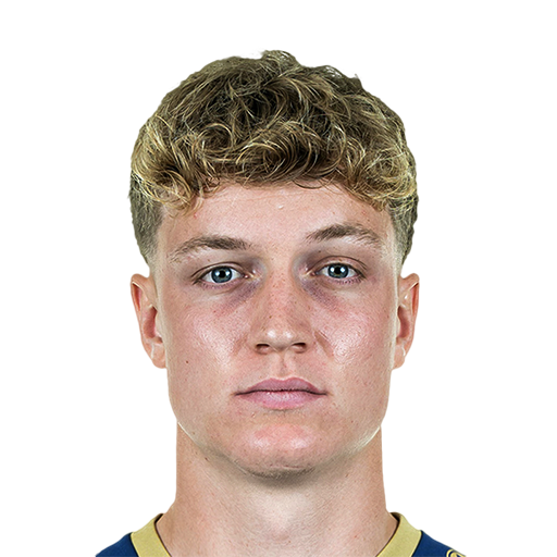 FC 25 Johannes Schenk Face