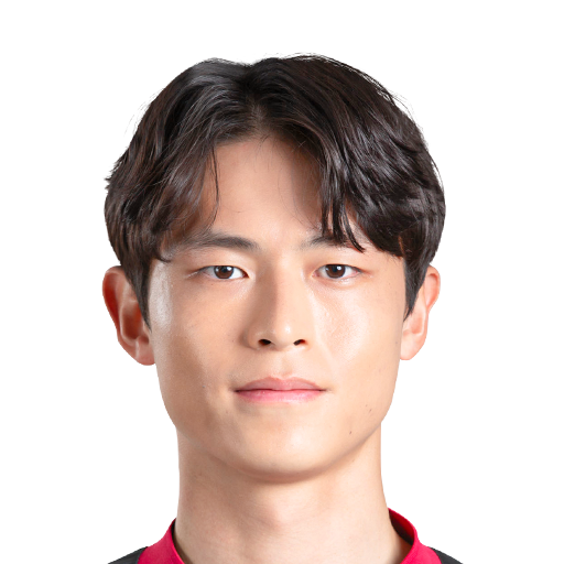 FC 25  Face