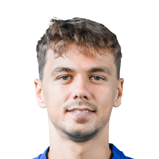 FC 25 Dario Spikic Face