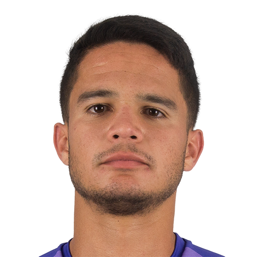 FC 25 Carlos Diaz Face
