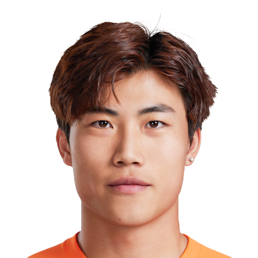 FC 25  Face