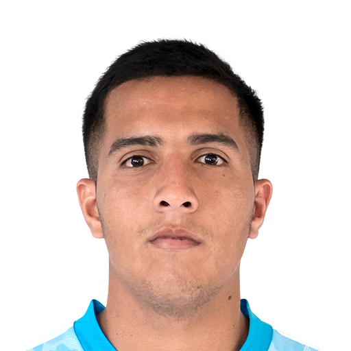 FC 25 Face