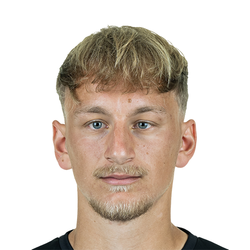 FC 25 Sascha Risch Face