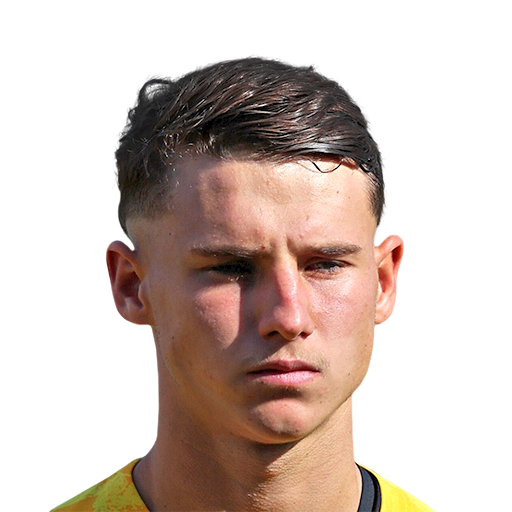 FC 25 Adrian Segecic Face