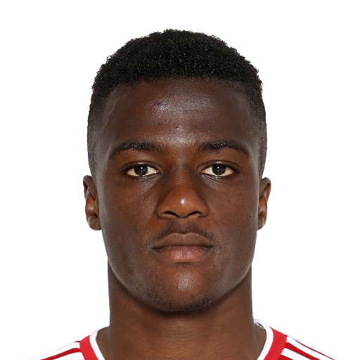 FC 25 Face