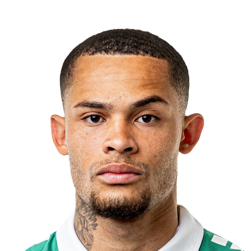 FC 25 Renato Junior Face