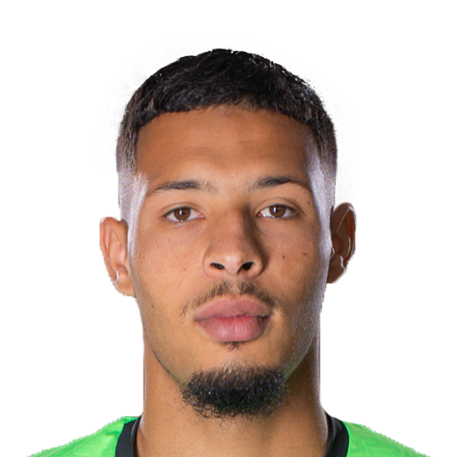 FC 25 Theo De Percin Face