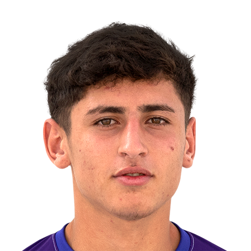 FC 25  Face