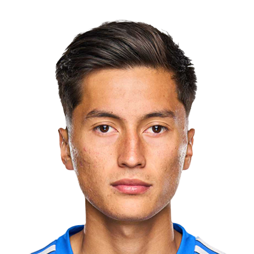 FC 25 Fernando Alvarez Face