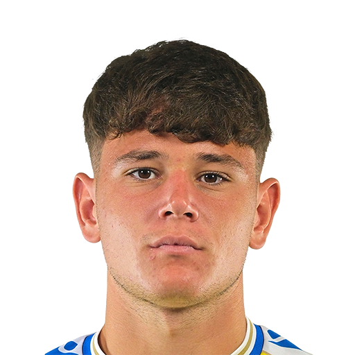 FC 25 Bastida Face