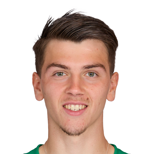 FC 25 Noah Botic Face