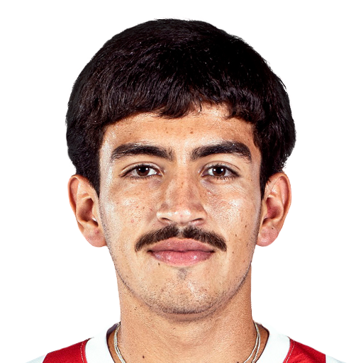 FC 25 Nicolas Palavecino Face