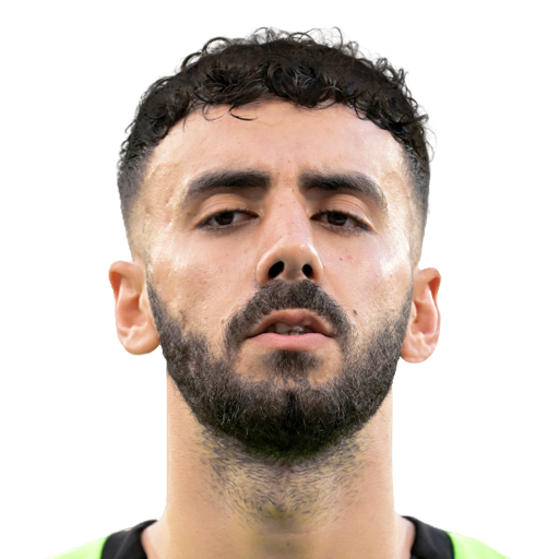 FC 25 Face