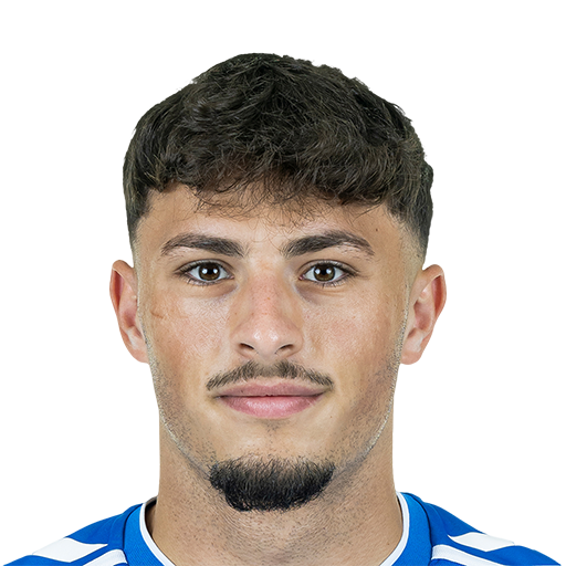 FC 25 Eldin Dzogovic Face