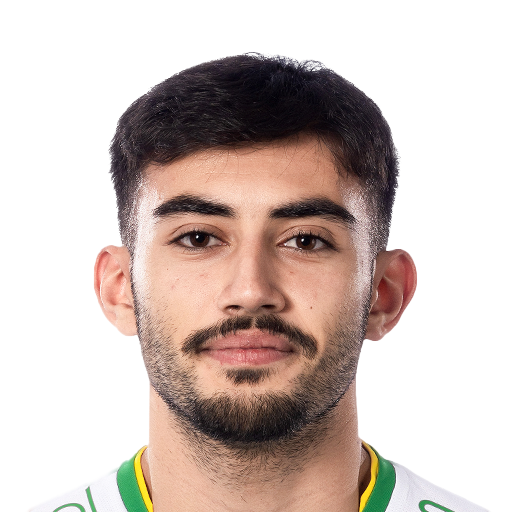 FC 25 Face