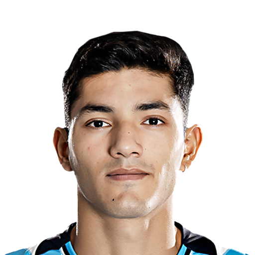 FC 25 Face