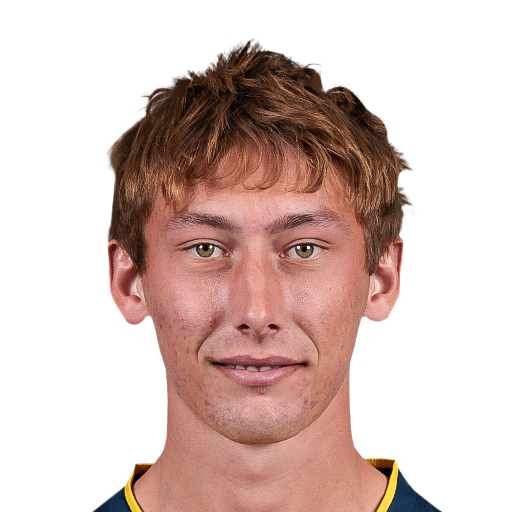 FC 25 Face