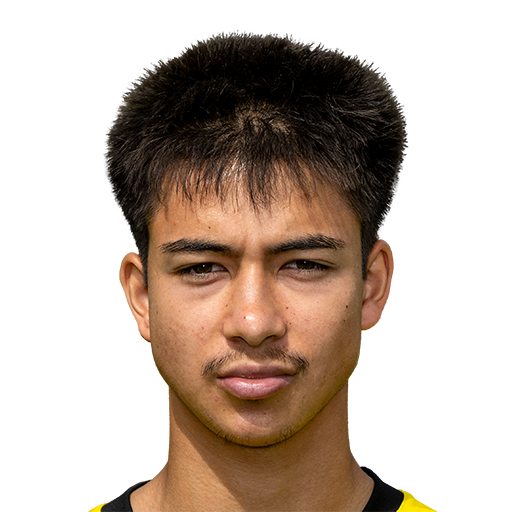 FC 25  Face