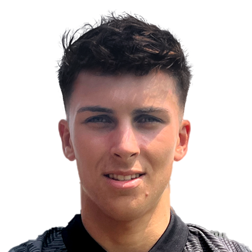 FC 25 Face