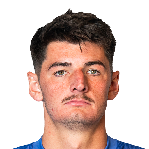 FC 25 Face
