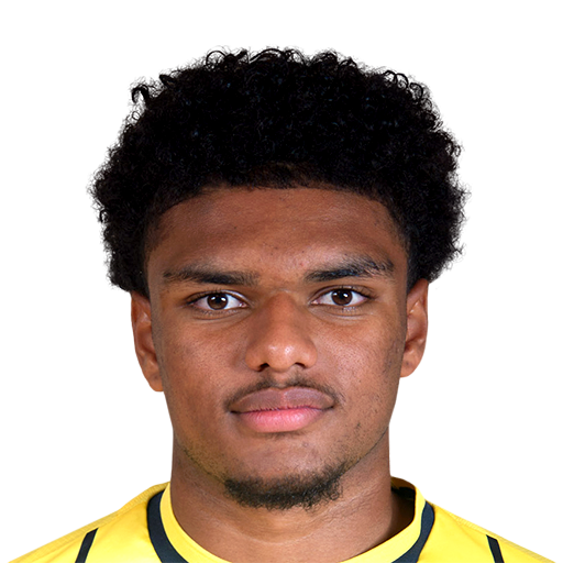 FC 25 James Golding Face