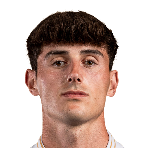FC 25 Face