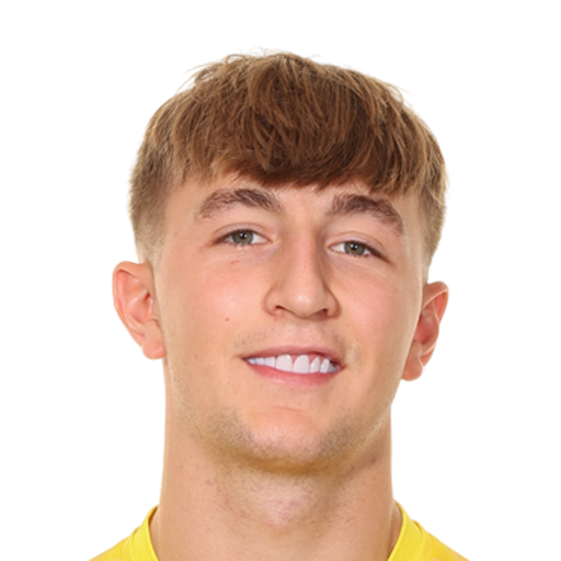 FC 25 Max Woltman Face