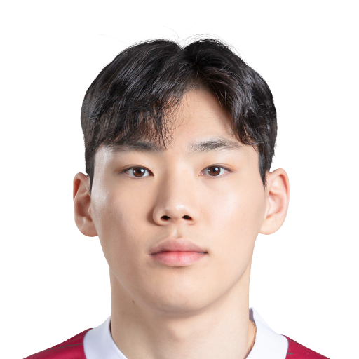 FC 25  Face