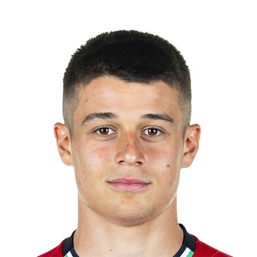 FC 25 Nicolo Tresoldi Face