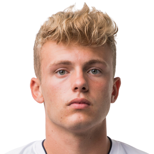 FC 25 Ihler Face