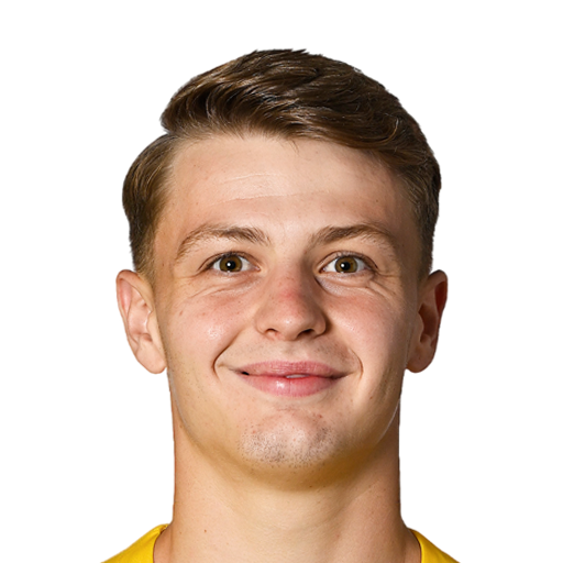 FC 25 Lewin Blum Face