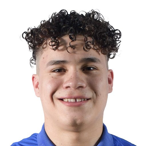 FC 25 Face