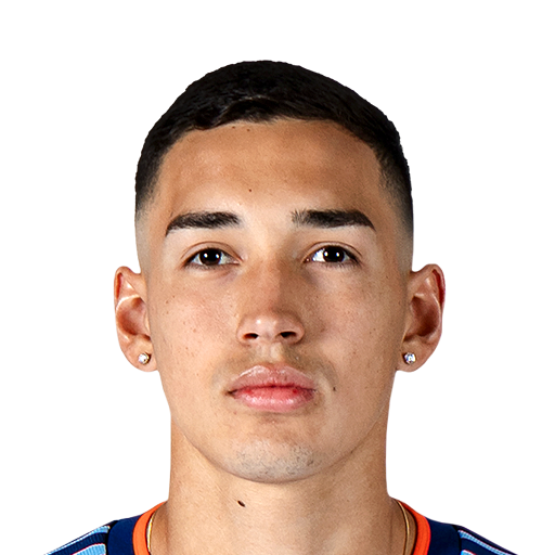 FC 25 Julian Fernandez Face