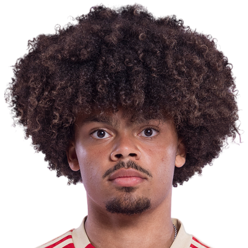 FC 25 Lucas Noubi Face
