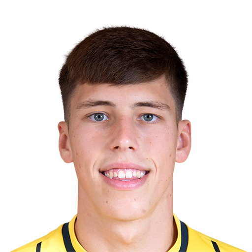 FC 25 Stephan Negru Face