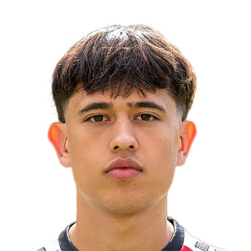 FC 25 Luca de Meester Face
