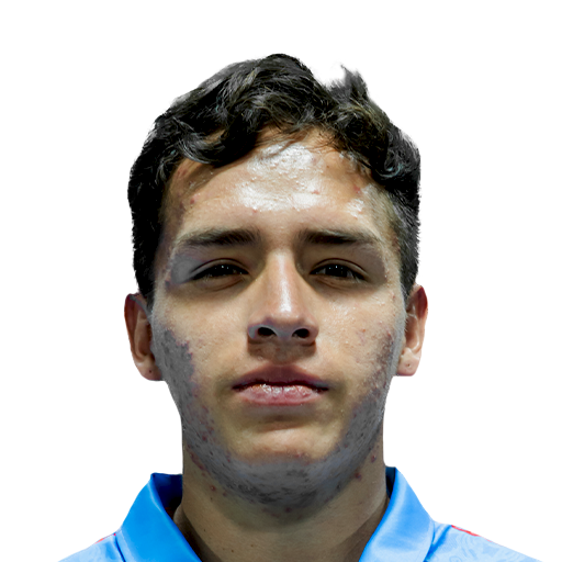 FC 25 Face