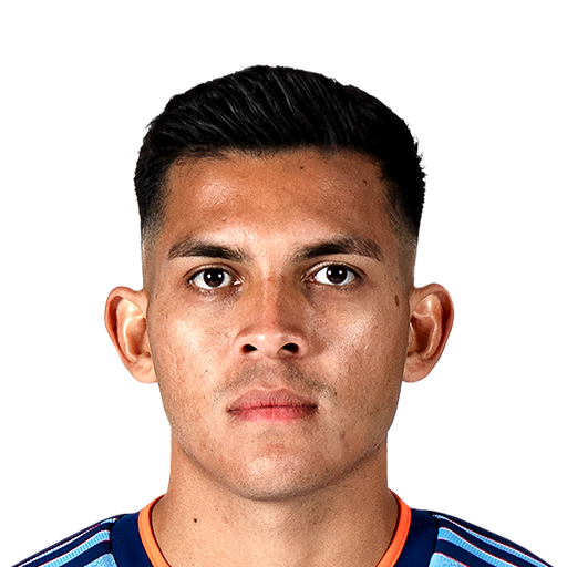 FC 25  Face