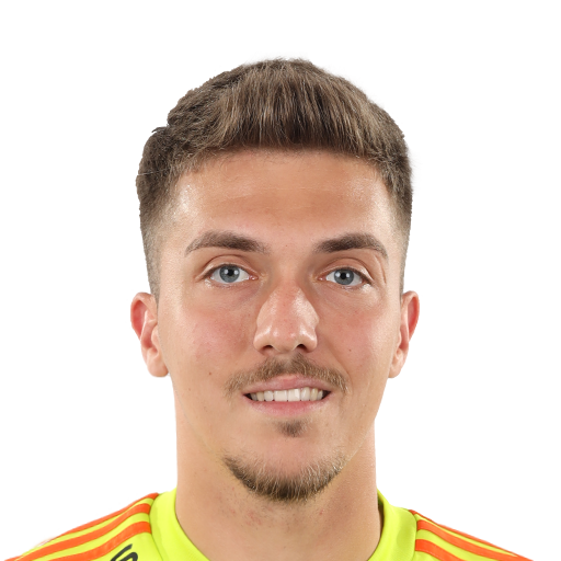FC 25 Andrei Gorcea Face